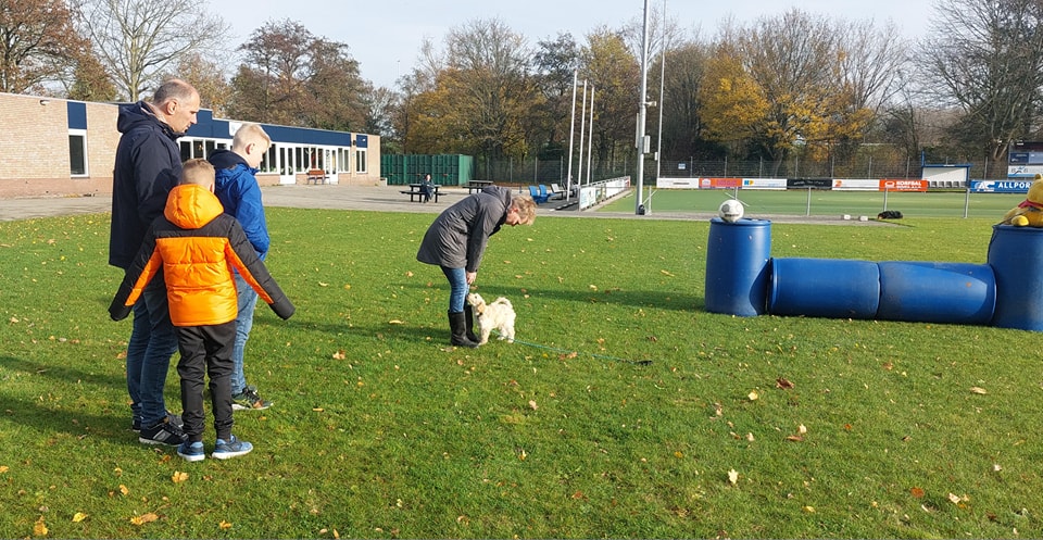 Gezin traint hond bij EG training Amantes