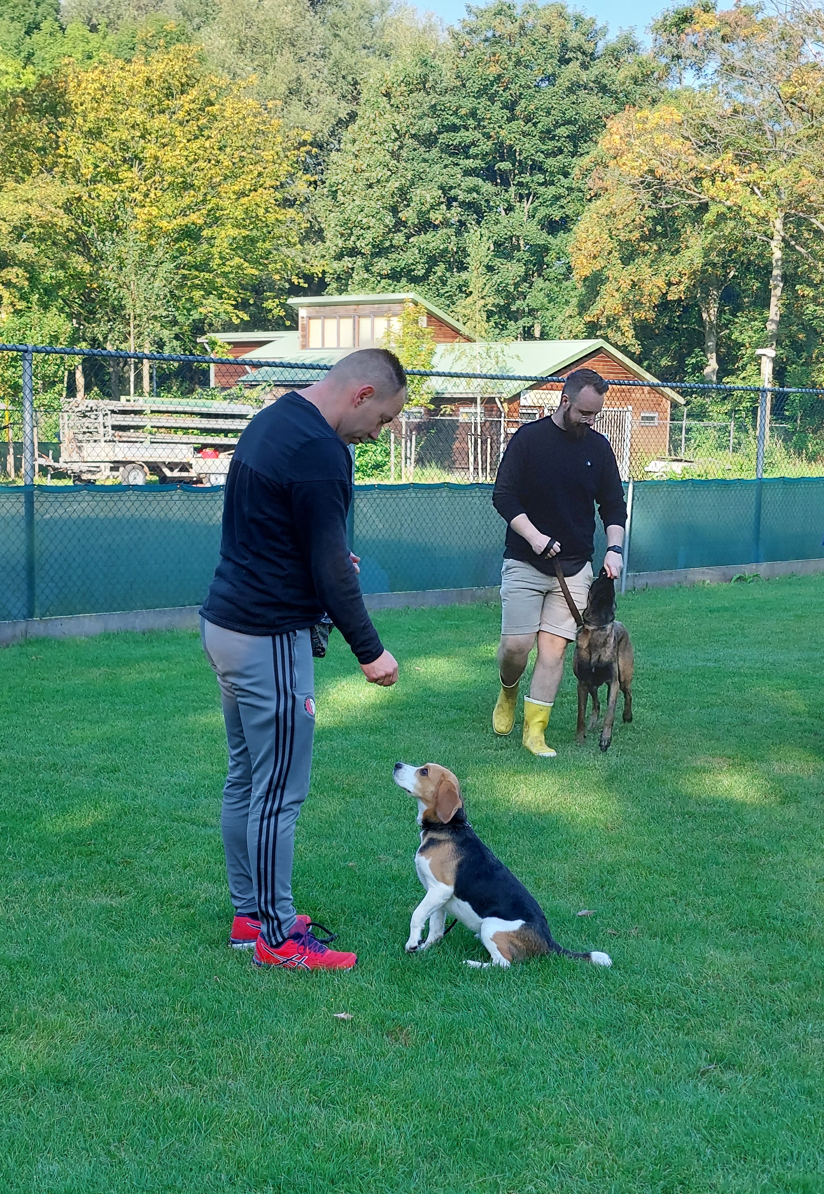 Trainer met beagle bij VEG training Amantes